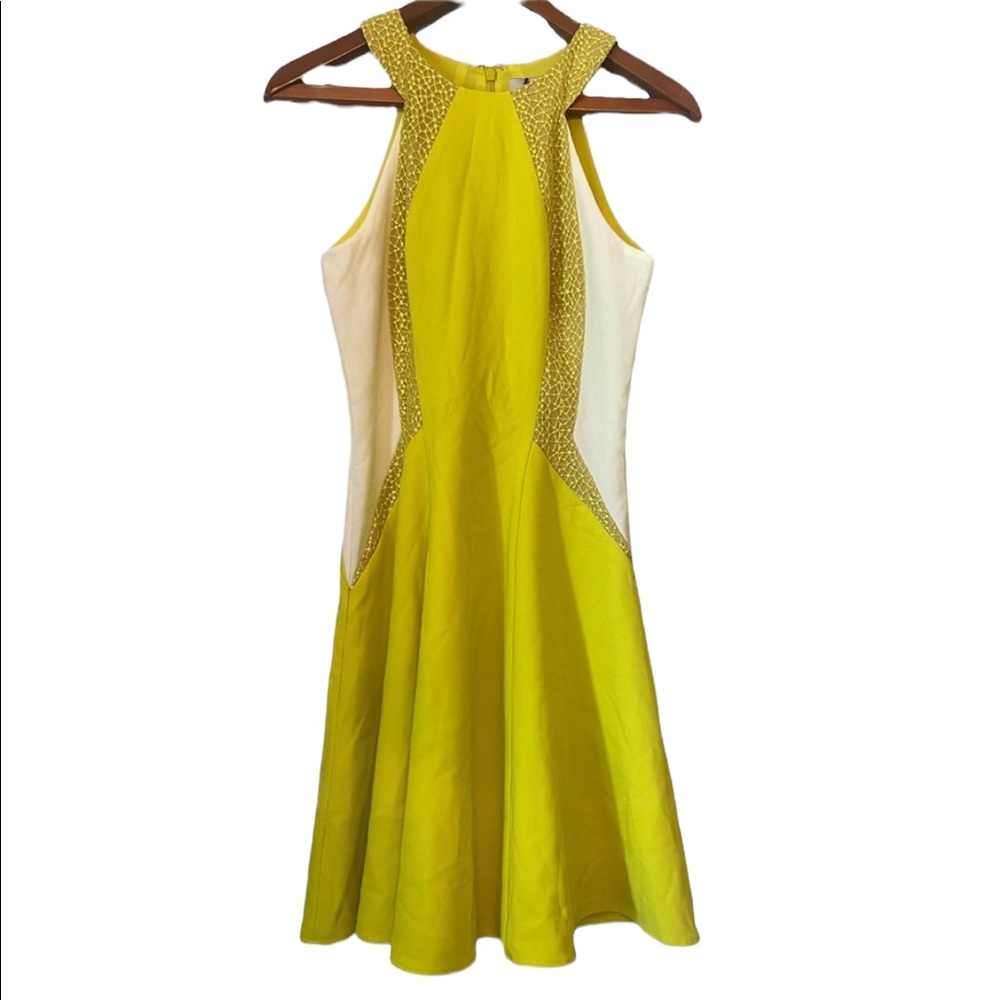 Lumier by Bariano Fit and Flare Yellow & White Dress